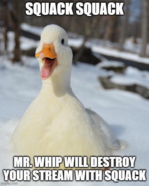 SQUACK SQUACK; MR. WHIP WILL DESTROY YOUR STREAM WITH SQUACK | made w/ Imgflip meme maker