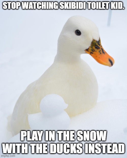 STOP WATCHING SKIBIDI TOILET KID. PLAY IN THE SNOW WITH THE DUCKS INSTEAD | made w/ Imgflip meme maker