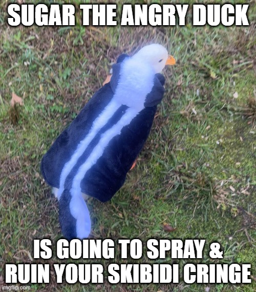 SUGAR THE ANGRY DUCK; IS GOING TO SPRAY & RUIN YOUR SKIBIDI CRINGE | made w/ Imgflip meme maker