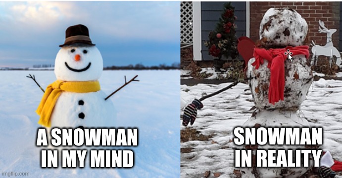 2020 Expectations vs. Reality | SNOWMAN IN REALITY; A SNOWMAN IN MY MIND | image tagged in 2020 expectations vs reality | made w/ Imgflip meme maker