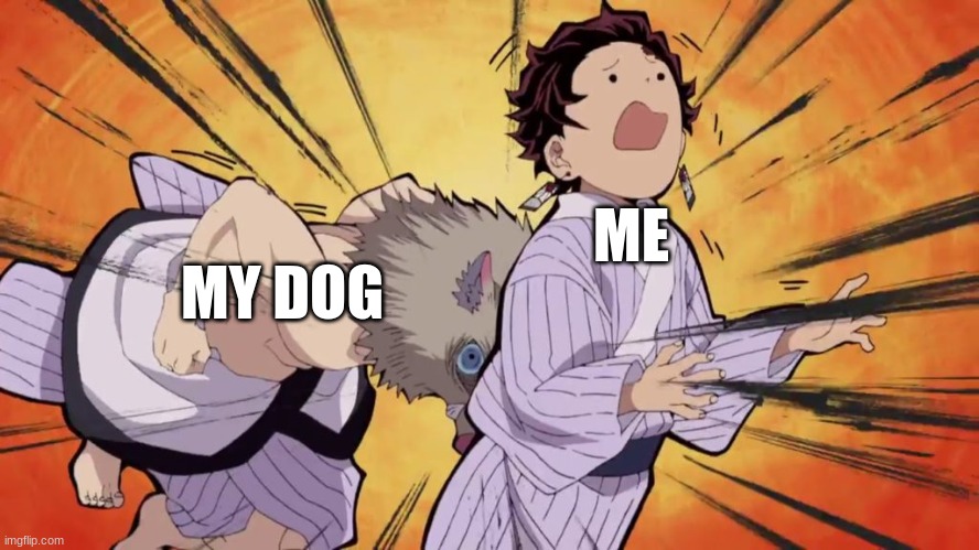 e | ME; MY DOG | image tagged in demon slayer,oogabooga8 | made w/ Imgflip meme maker
