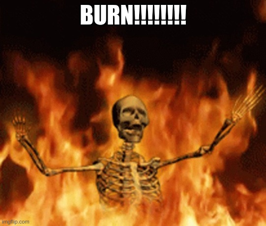 Skeleton Burning In Hell | BURN!!!!!!!! | image tagged in skeleton burning in hell | made w/ Imgflip meme maker