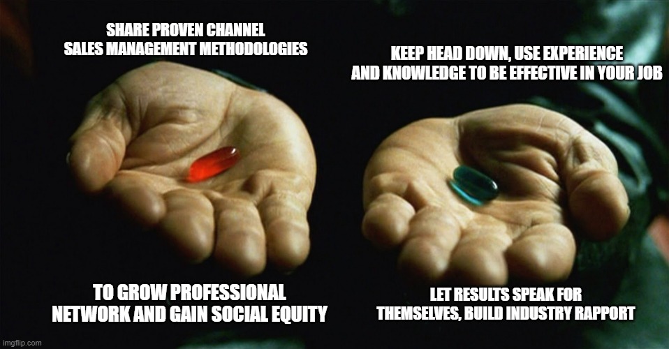 Professional Social Media Problems | SHARE PROVEN CHANNEL SALES MANAGEMENT METHODOLOGIES; KEEP HEAD DOWN, USE EXPERIENCE AND KNOWLEDGE TO BE EFFECTIVE IN YOUR JOB; LET RESULTS SPEAK FOR THEMSELVES, BUILD INDUSTRY RAPPORT; TO GROW PROFESSIONAL NETWORK AND GAIN SOCIAL EQUITY | image tagged in red pill blue pill | made w/ Imgflip meme maker