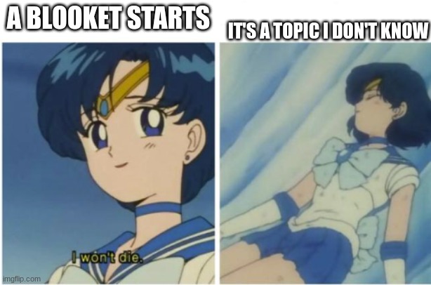 i wont die | IT'S A TOPIC I DON'T KNOW; A BLOOKET STARTS | image tagged in i wont die,blooket,sailor moon | made w/ Imgflip meme maker