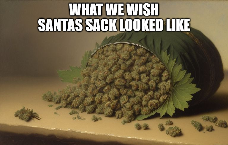 What we wish Santa's sack looked like! | WHAT WE WISH SANTAS SACK LOOKED LIKE | image tagged in weed,marijuana,420,stoners,vitamin w,ganja | made w/ Imgflip meme maker