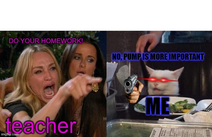 PUMP | DO YOUR HOMEWORK! NO, PUMP IS MORE IMPORTANT; ME; teacher | image tagged in memes,woman yelling at cat | made w/ Imgflip meme maker