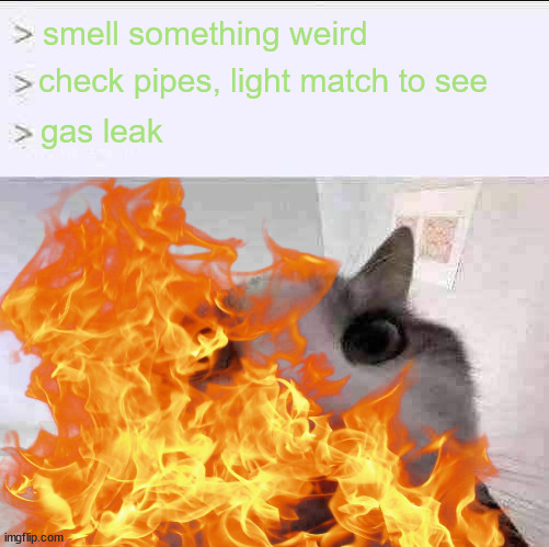 smelled something weird | smell something weird; check pipes, light match to see; gas leak | image tagged in cat looks inside | made w/ Imgflip meme maker
