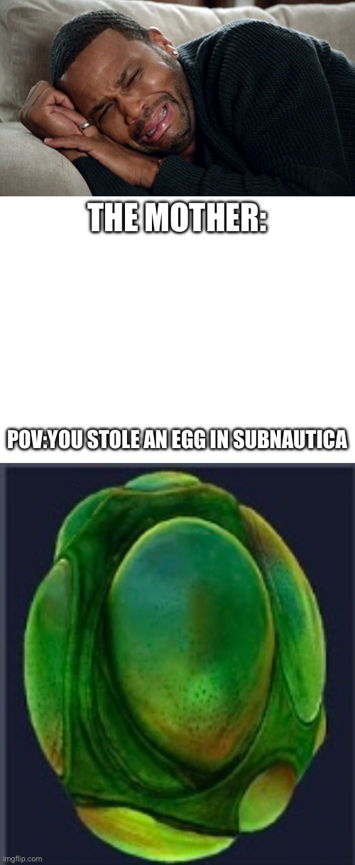 Subnautica meme | THE MOTHER:; POV:YOU STOLE AN EGG IN SUBNAUTICA | image tagged in video games,eggs,crying | made w/ Imgflip meme maker