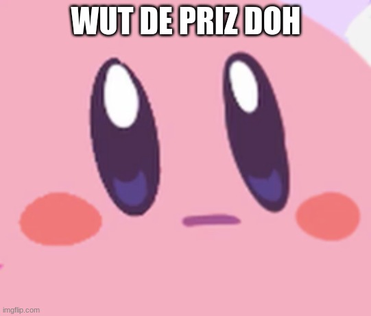 Blank Kirby Face | WUT DE PRIZ DOH | image tagged in blank kirby face | made w/ Imgflip meme maker