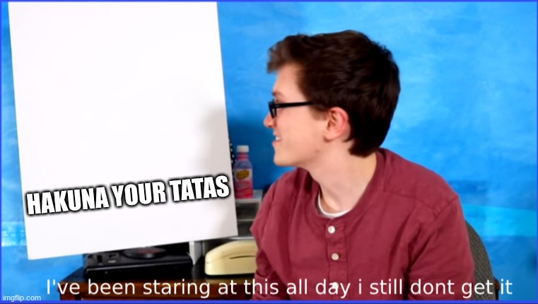 I dont get it | HAKUNA YOUR TATAS | image tagged in i dont get it | made w/ Imgflip meme maker