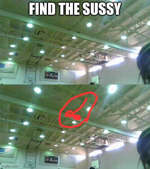 my gym class has | FIND THE SUSSY | image tagged in sjus,gym,mogus | made w/ Imgflip meme maker
