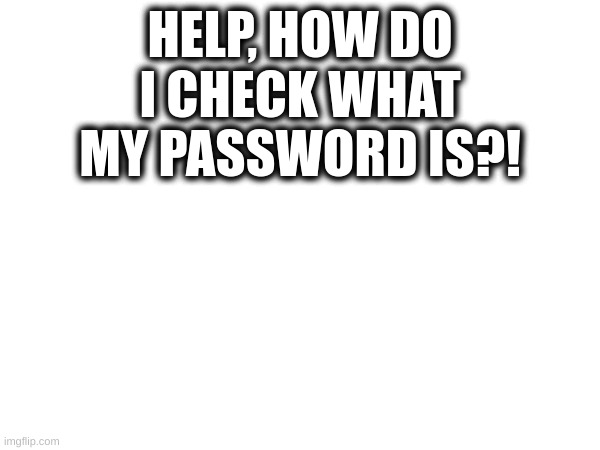 HELP, HOW DO I CHECK WHAT MY PASSWORD IS?! | image tagged in idk | made w/ Imgflip meme maker