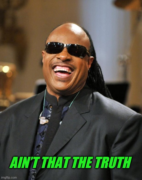 Stevie Wonder | AIN’T THAT THE TRUTH | image tagged in stevie wonder | made w/ Imgflip meme maker