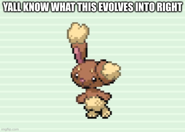 hint: r34 | YALL KNOW WHAT THIS EVOLVES INTO RIGHT | made w/ Imgflip meme maker