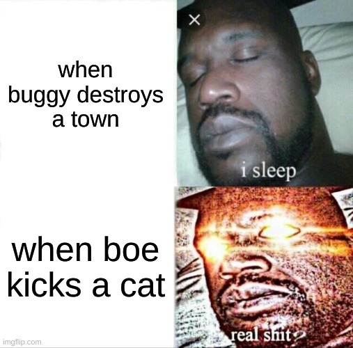 one piece meme | when buggy destroys a town; when boe kicks a cat | image tagged in memes,sleeping shaq | made w/ Imgflip meme maker