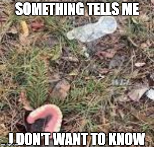 Leftovers | SOMETHING TELLS ME; I DON'T WANT TO KNOW | image tagged in sex jokes | made w/ Imgflip meme maker