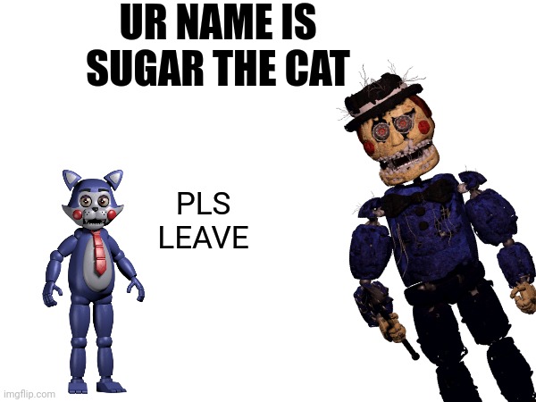 ITS CANDY NOT SUGAR! | UR NAME IS SUGAR THE CAT; PLS LEAVE | image tagged in fnaf,fan,game | made w/ Imgflip meme maker