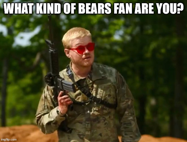 WHAT KIND OF BEARS FAN ARE YOU? | image tagged in CHIBears | made w/ Imgflip meme maker