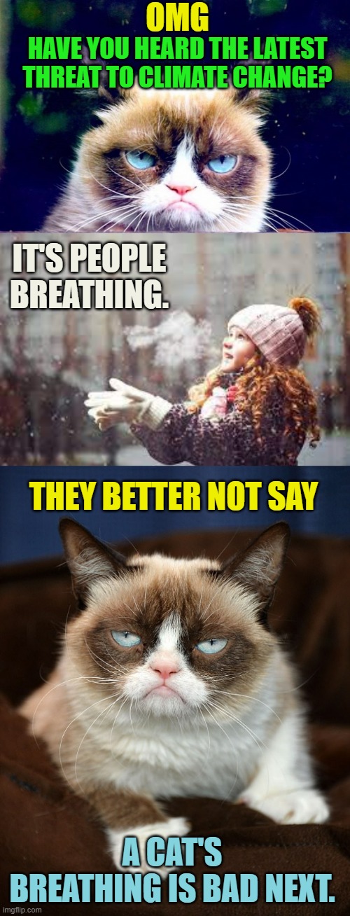 A Message From Grumpy Cat | OMG; HAVE YOU HEARD THE LATEST THREAT TO CLIMATE CHANGE? IT'S PEOPLE BREATHING. THEY BETTER NOT SAY; A CAT'S BREATHING IS BAD NEXT. | image tagged in memes,politics,grumpy cat,climate change,threat,people | made w/ Imgflip meme maker