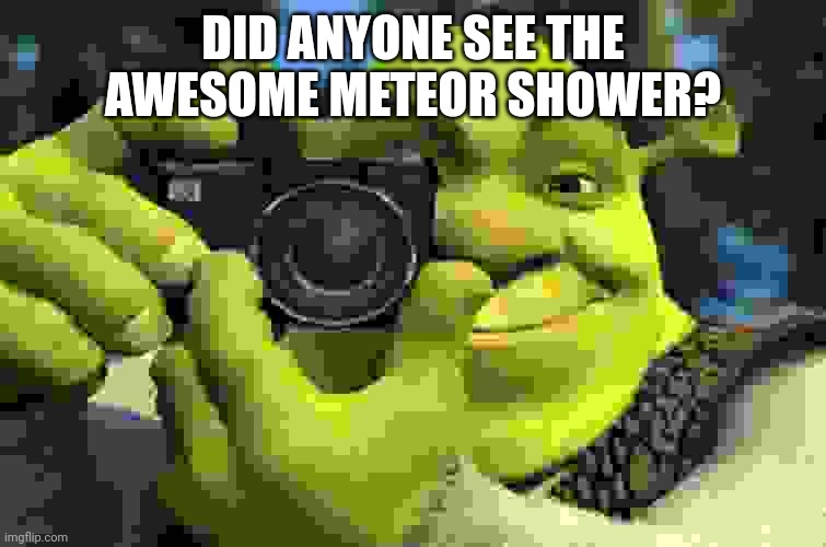 shrek camera | DID ANYONE SEE THE AWESOME METEOR SHOWER? | image tagged in shrek camera | made w/ Imgflip meme maker