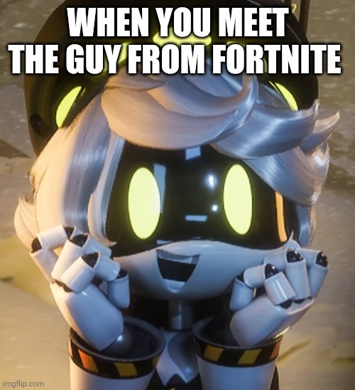 Happy N | WHEN YOU MEET THE GUY FROM FORTNITE | image tagged in happy n | made w/ Imgflip meme maker