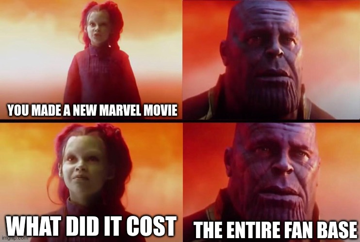 What did it cost? | YOU MADE A NEW MARVEL MOVIE; THE ENTIRE FAN BASE; WHAT DID IT COST | image tagged in what did it cost | made w/ Imgflip meme maker