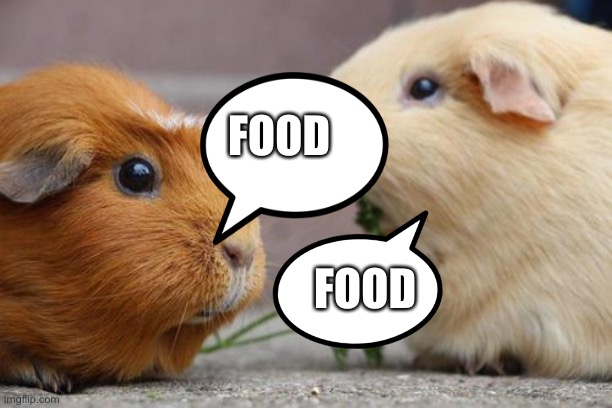 One Guinea Pig Said to the Other | FOOD; FOOD | image tagged in one guinea pig said to the other | made w/ Imgflip meme maker