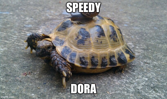 Snail riding turtle | SPEEDY; DORA | image tagged in snail riding turtle | made w/ Imgflip meme maker