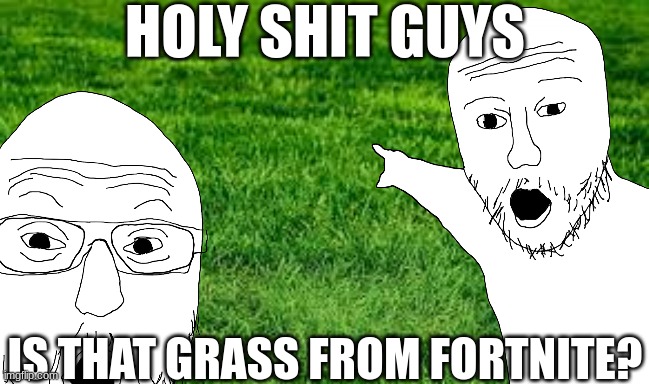 touch some grass | HOLY SHIT GUYS; IS THAT GRASS FROM FORTNITE? | image tagged in fortnite | made w/ Imgflip meme maker