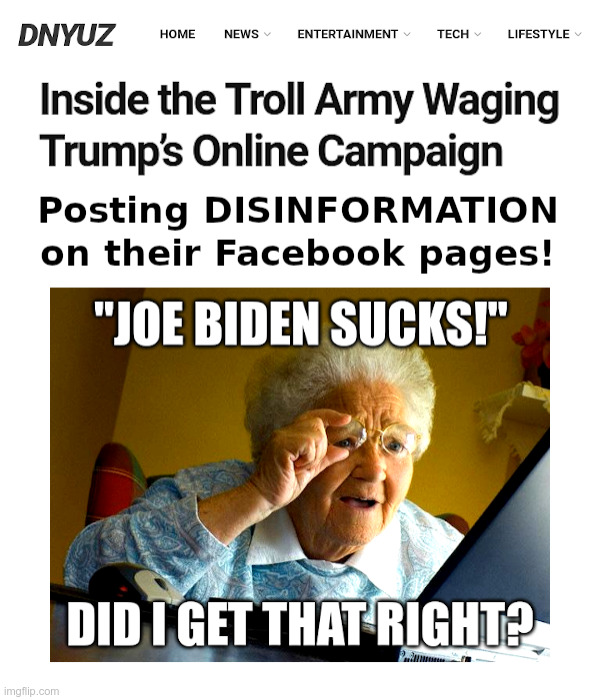 The Troll Army Waging Trump’s Online Campaign | image tagged in trump,troll,army,disinformation,grandma finds the internet | made w/ Imgflip meme maker