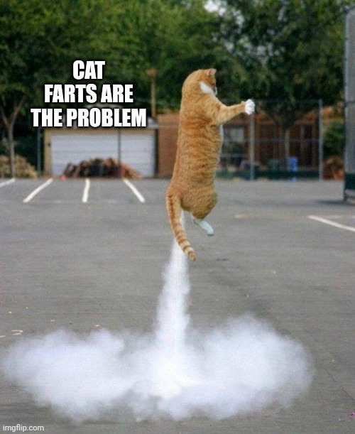 Farting Cat | CAT FARTS ARE THE PROBLEM | image tagged in farting cat | made w/ Imgflip meme maker