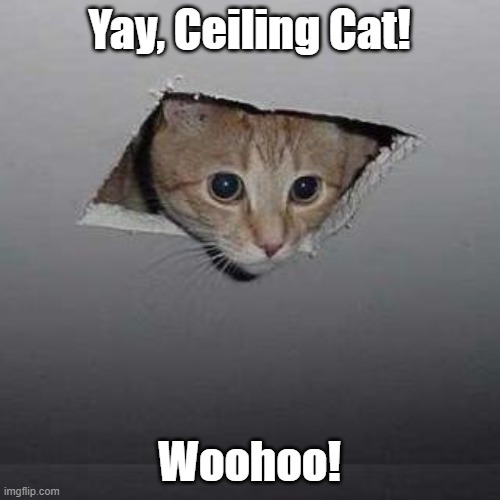 The Ceiling Cat is Here to Celebrate 100 Points! | Yay, Ceiling Cat! Woohoo! | image tagged in memes,ceiling cat | made w/ Imgflip meme maker