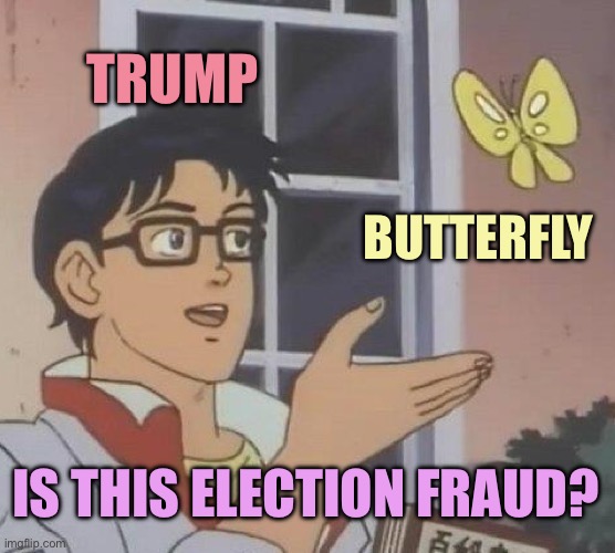 Butterflies BAD! | TRUMP; BUTTERFLY; IS THIS ELECTION FRAUD? | image tagged in memes,is this a pigeon | made w/ Imgflip meme maker