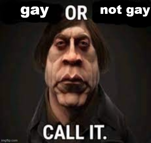 gay not gay | made w/ Imgflip meme maker