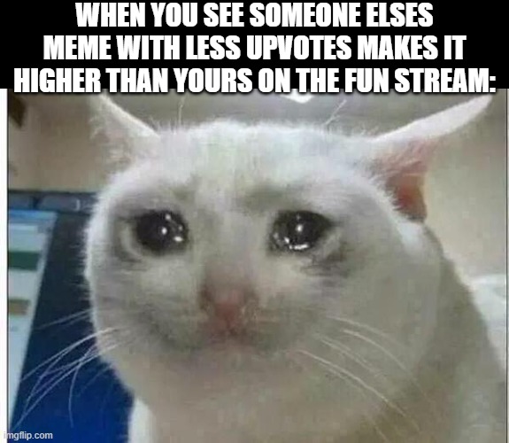 crying cat | WHEN YOU SEE SOMEONE ELSES MEME WITH LESS UPVOTES MAKES IT HIGHER THAN YOURS ON THE FUN STREAM: | image tagged in crying cat | made w/ Imgflip meme maker