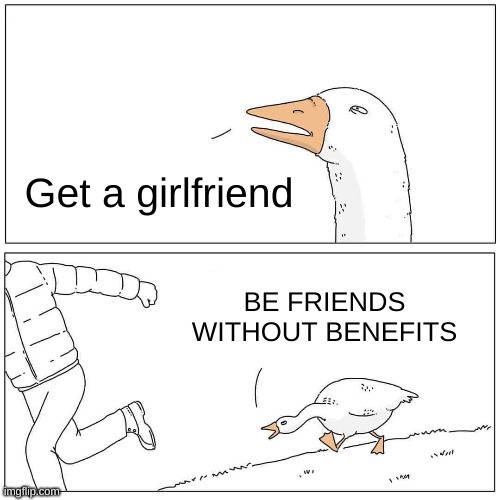 friends without benefits | Get a girlfriend; BE FRIENDS WITHOUT BENEFITS | image tagged in goose chase | made w/ Imgflip meme maker