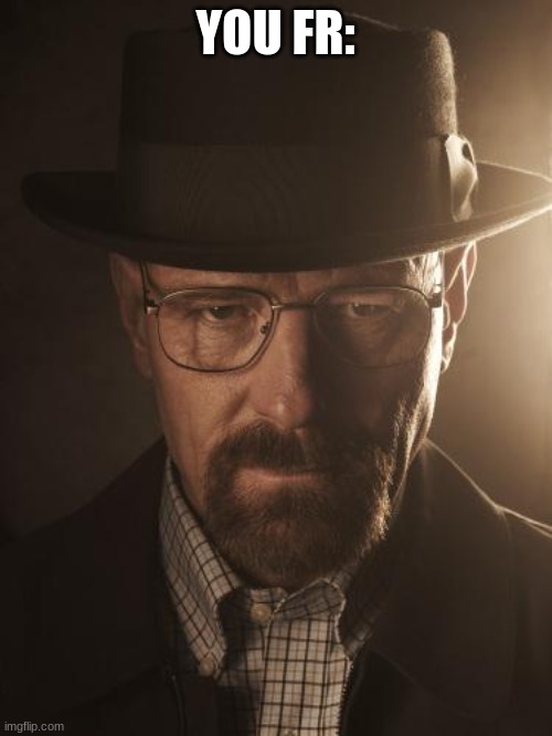 Walter White | YOU FR: | image tagged in walter white | made w/ Imgflip meme maker