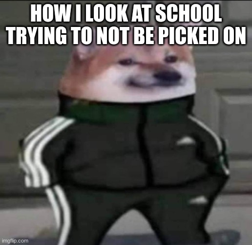 doge | HOW I LOOK AT SCHOOL TRYING TO NOT BE PICKED ON | image tagged in slav doge | made w/ Imgflip meme maker