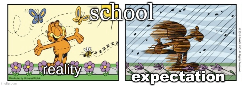 garfield expectation reality | school; reality; expectation | image tagged in garfield expectation reality | made w/ Imgflip meme maker