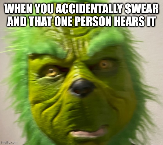 WHEN YOU ACCIDENTALLY SWEAR AND THAT ONE PERSON HEARS IT | image tagged in memes,grinch | made w/ Imgflip meme maker