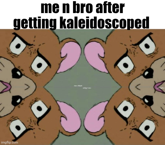 me n bro after getting kaleidoscoped | image tagged in unsettled jerry | made w/ Imgflip meme maker