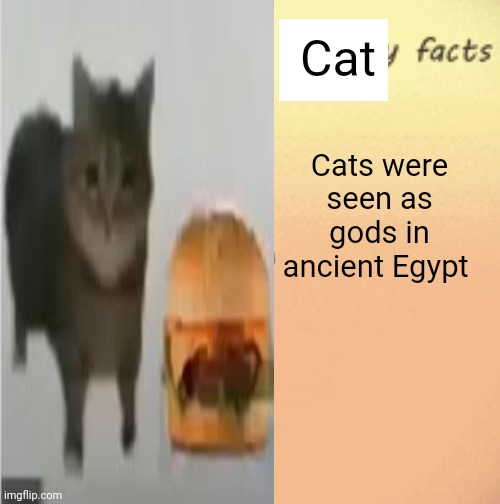 Posting a cat fact for every femboy fact I see, have nothing against them | Cat; Cats were seen as gods in ancient Egypt | image tagged in cool femboy facts | made w/ Imgflip meme maker
