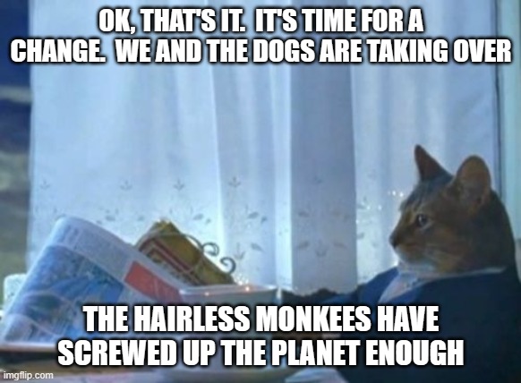 I Should Buy A Boat Cat | OK, THAT'S IT.  IT'S TIME FOR A CHANGE.  WE AND THE DOGS ARE TAKING OVER; THE HAIRLESS MONKEES HAVE SCREWED UP THE PLANET ENOUGH | image tagged in memes,i should buy a boat cat | made w/ Imgflip meme maker