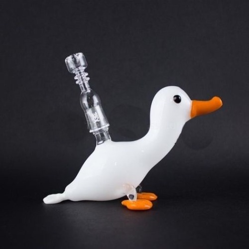 A quack pipe | made w/ Imgflip meme maker