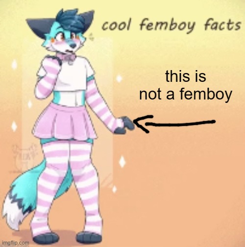 cool femboy facts | this is not a femboy | image tagged in cool femboy facts | made w/ Imgflip meme maker