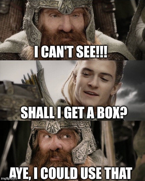 Lotr | I CAN'T SEE!!! SHALL I GET A BOX? AYE, I COULD USE THAT | image tagged in aye i could do that blank | made w/ Imgflip meme maker