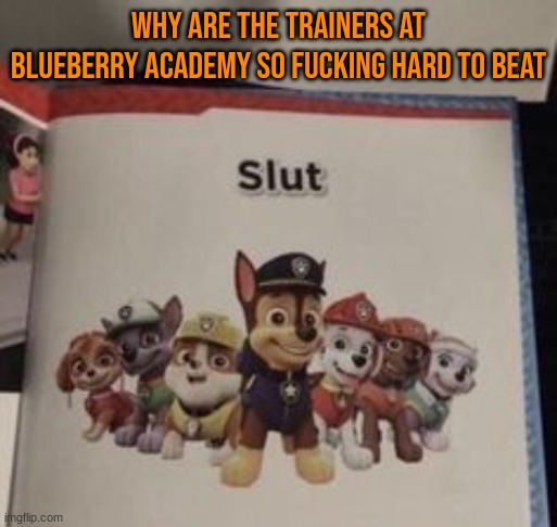 slut | WHY ARE THE TRAINERS AT BLUEBERRY ACADEMY SO FUCKING HARD TO BEAT | image tagged in slut | made w/ Imgflip meme maker