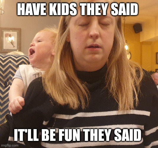 Fed up | HAVE KIDS THEY SAID; IT'LL BE FUN THEY SAID | image tagged in memes | made w/ Imgflip meme maker