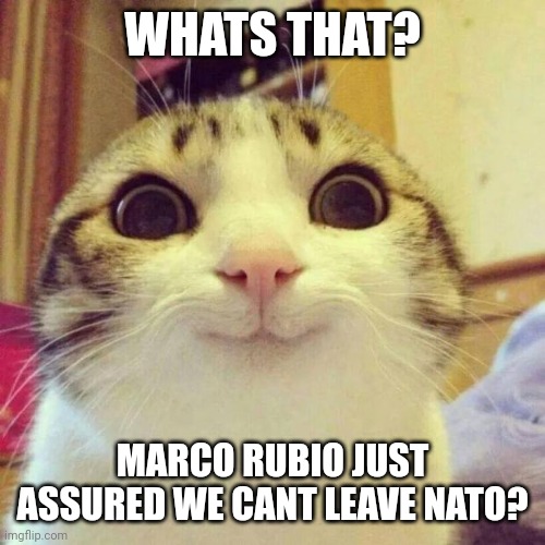 Is he a RINO? | WHATS THAT? MARCO RUBIO JUST ASSURED WE CANT LEAVE NATO? | image tagged in memes,smiling cat | made w/ Imgflip meme maker