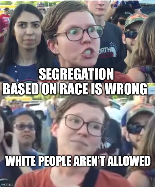 Two faced liberal snowflake | SEGREGATION BASED ON RACE IS WRONG; WHITE PEOPLE AREN’T ALLOWED | image tagged in two faced liberal snowflake,segregation,racism,white people | made w/ Imgflip meme maker